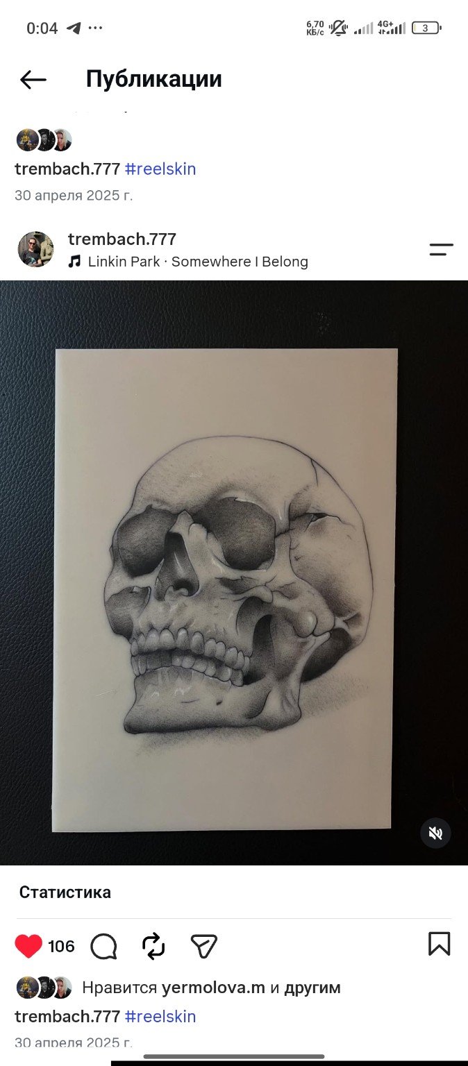 Skull. Line and volume