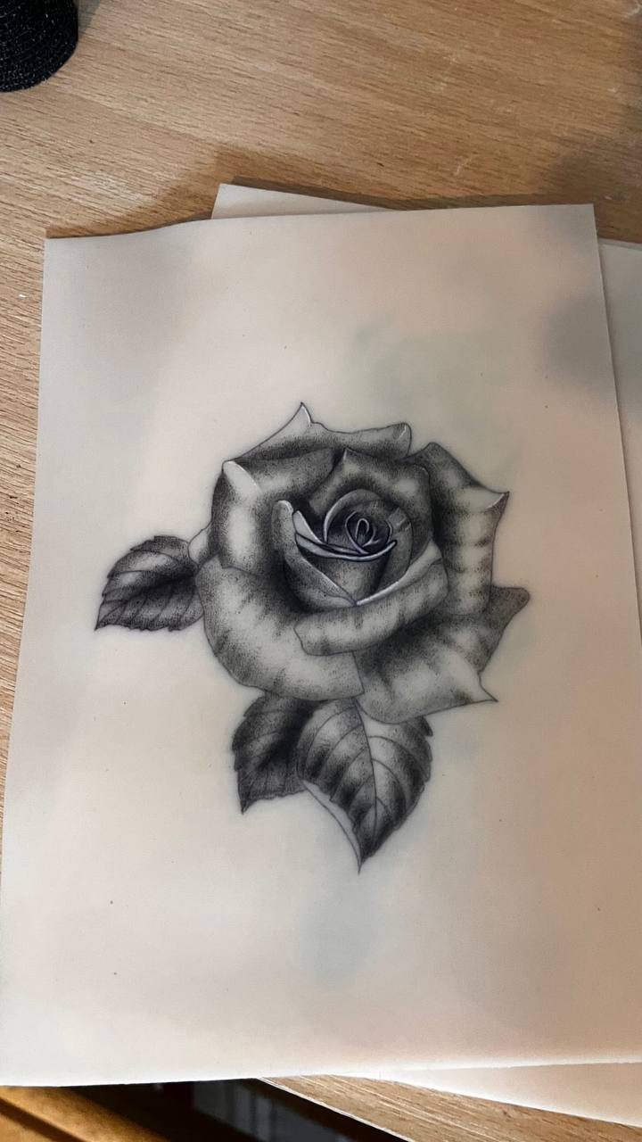 Rose Study — Light & Shadow